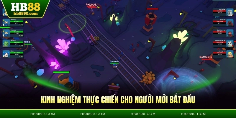 Kinh nghiệm thực chiến cho người mới bắt đầu